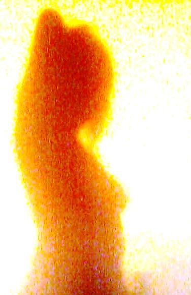Obraz0122