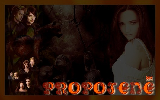 Propojen 1