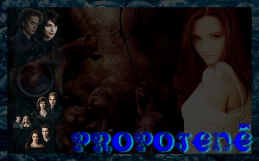 Propojen 2