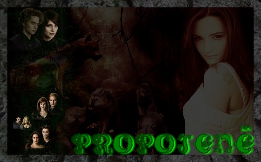 Propojen 3