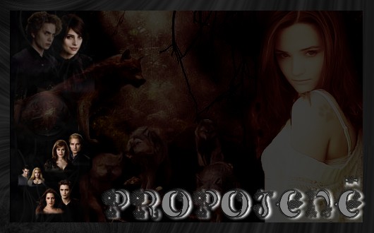 Propojen 4