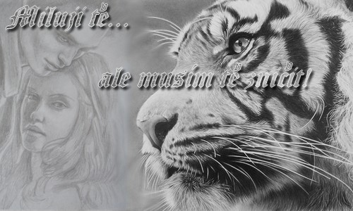 Miluji t, ale musm t zniit